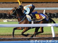エリザベス女王杯追い切り情報(2)カワカミプリンセスなど