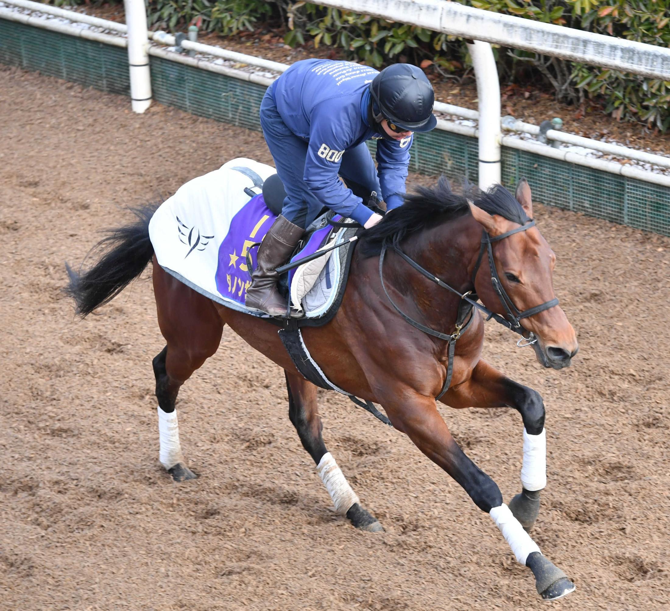 【中山記念】ダノンザキッド充実　昨年は１番人気で７着、雪辱に燃える