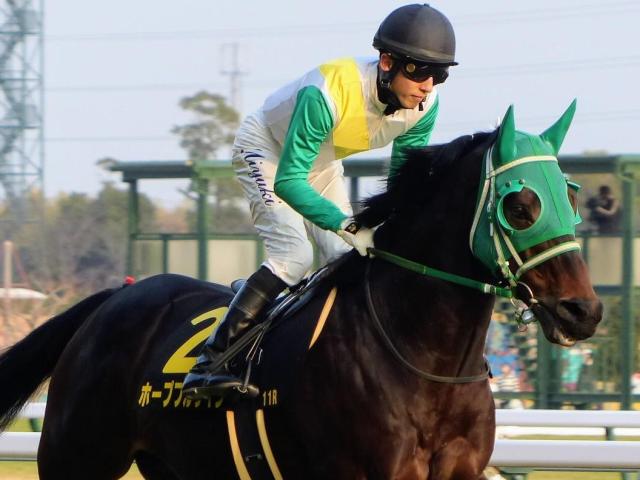 【日曜のトラックバイアス】阪神内回りは超内枠有利！ ホープフルサインの一発があるぞ