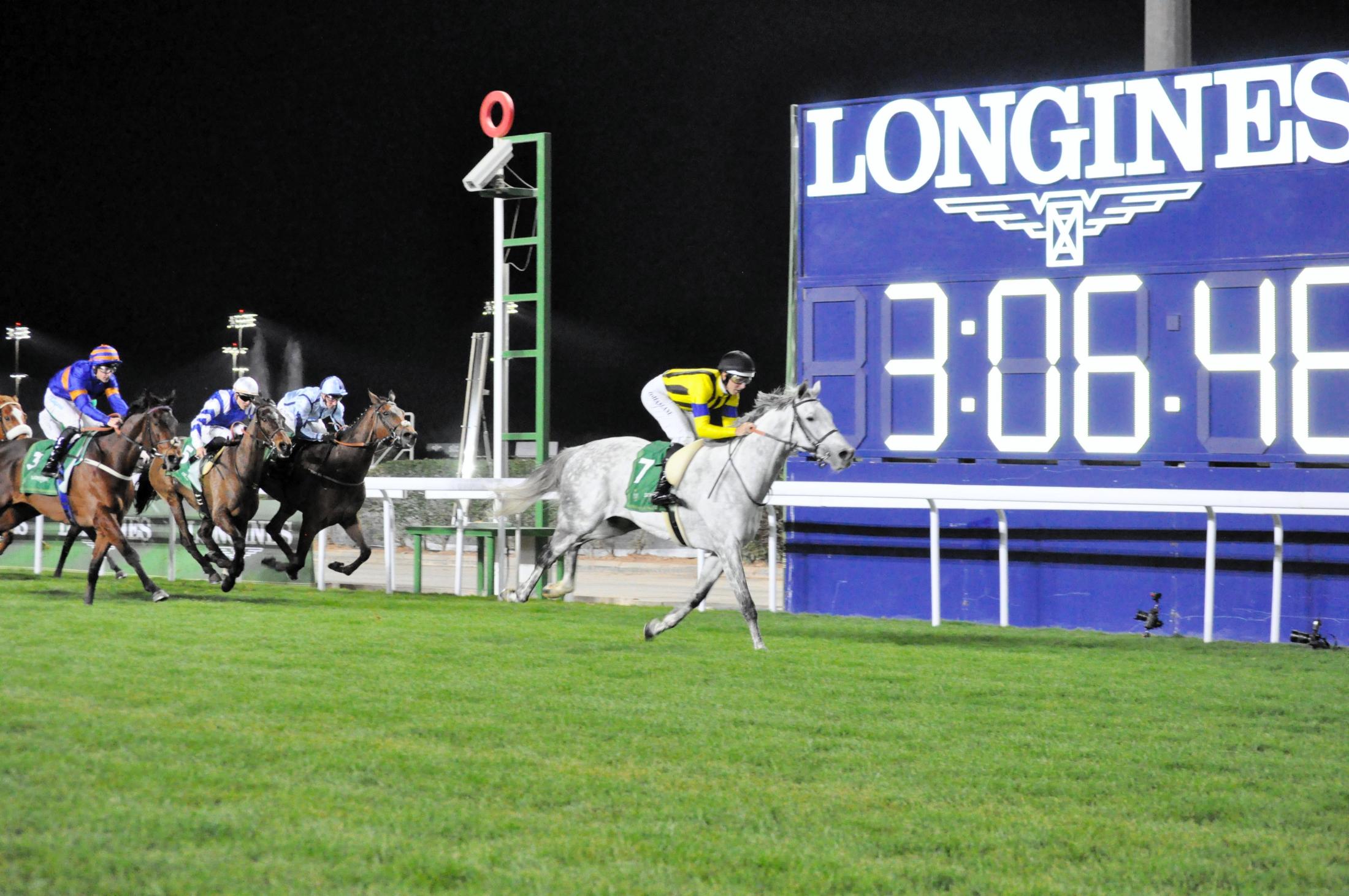 サウジＧ３レッドシーターフＨＣ覇者シルヴァーソニックは天皇賞・春を大目標に