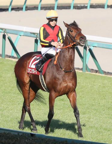 【注目馬動向】昨年の秋華賞馬　スタニングローズは大阪杯でG1・2勝目狙う