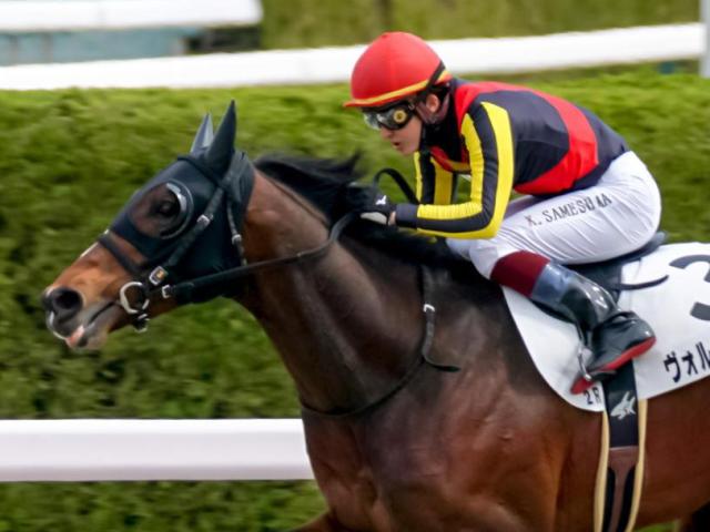【阪神9R】ここ2戦は展開不利 ハイレベルな1勝クラス制したヴォルゴグラードは見限れない
