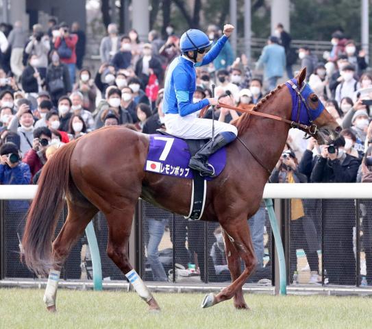 【注目馬動向】レモンポップは引き続き坂井瑠星騎手とのコンビでドバイゴールデンシャヒーンへ 競馬ニュース netkeiba