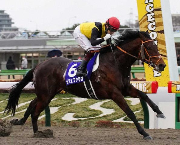 カフェファラオ モレイラとコンビ継続 競馬ニュース netkeiba