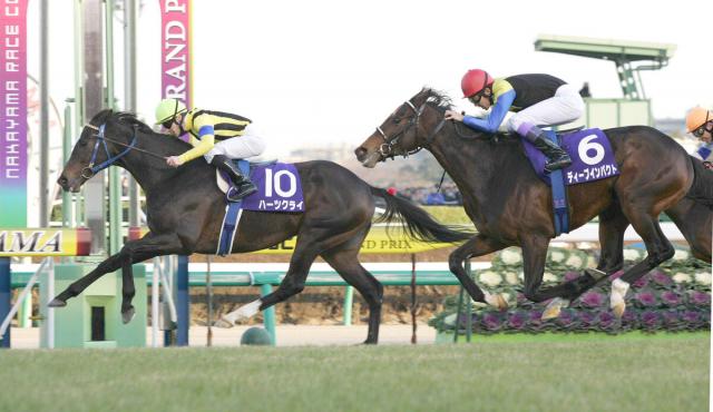 ディープインパクトに勝った唯一の日本馬、ハーツクライ死す　社台ファーム吉田照哉代表「最期の最期まで気高く、弱みを見せずに旅立った」