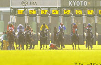 ポルトフィーノ悲運…武豊が落馬
