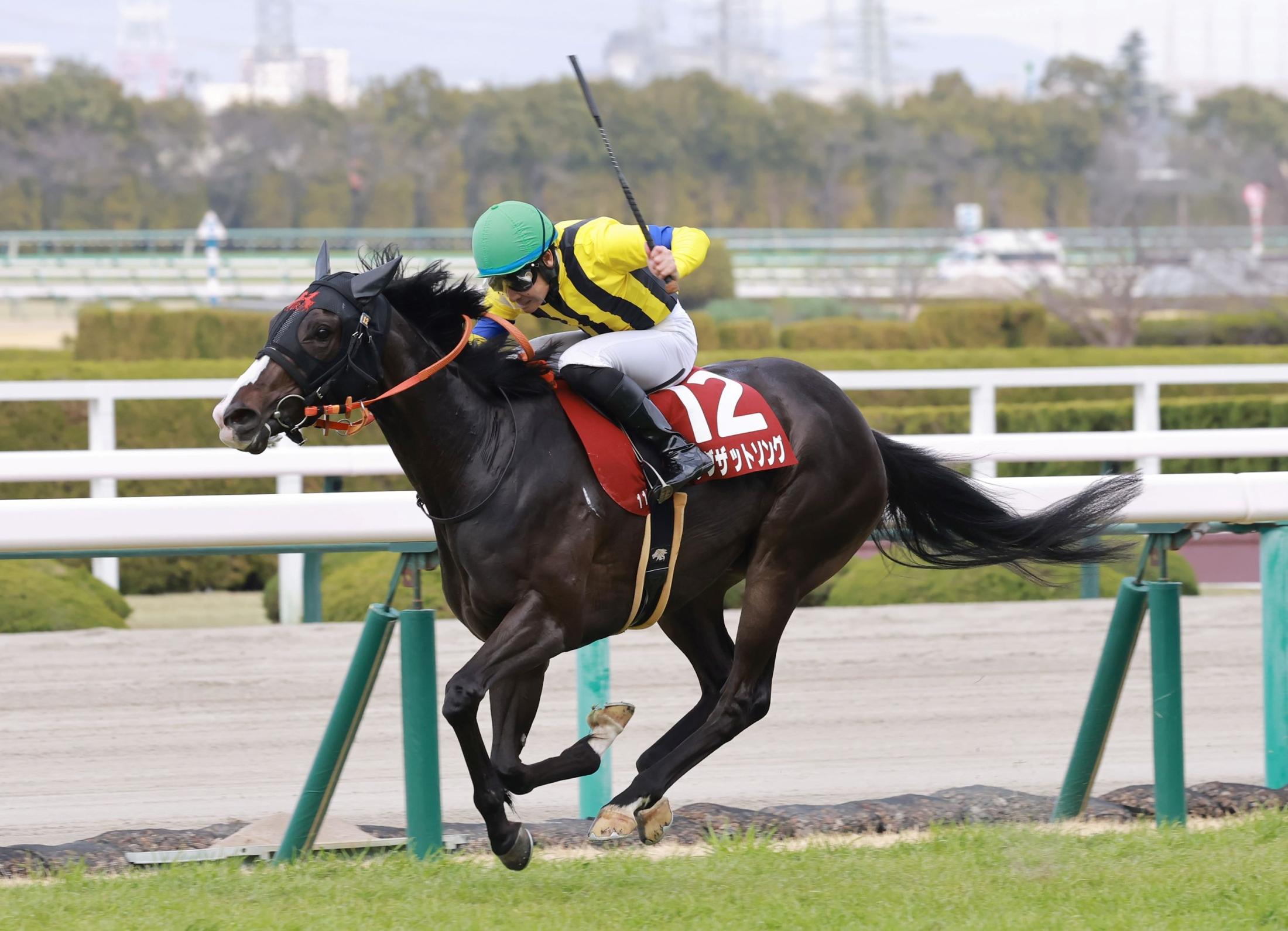 【フィリーズレビュー】2番人気シングザットソングが重賞初制覇 | 競馬ニュース - netkeiba.com