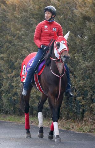 ドバイワールドカップデーにパンサラッサ、イクイノックスなど日本馬が大挙27頭参戦