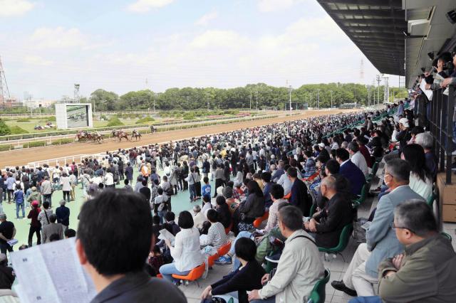 園田競馬から5月から8月までサマー競馬を実施
