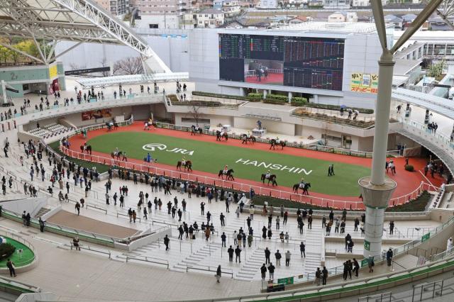 阪神競馬場は通常通り進行