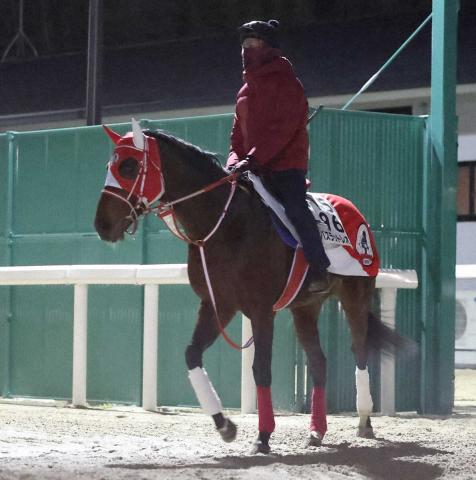 ゴドルフィンM】バスラットレオン連覇ならず4着 日本勢3頭タイトル逃す