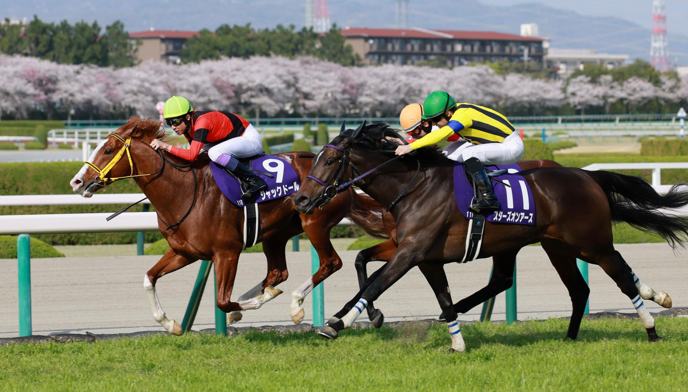 大阪杯】２番人気のジャックドールがＧ１初制覇 ＪＲＡ史上最年長Ｇ１