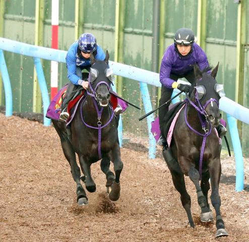 桜花賞】ペリファーニアが余力残しで好時計マーク 横山武史騎手「動き