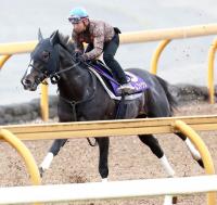 最大5万円OFFクーポン！ 激レア 写真集 ONTHETURF2 競馬 | dizmekaro.com