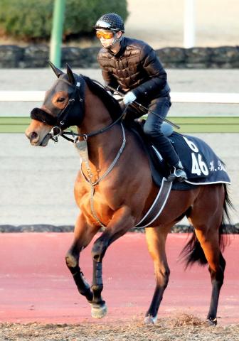 【皐月賞】共同通信杯2着のタッチウッドは坂路で軽快な動き　桜花賞に続き武兄弟で参戦