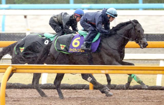 天皇賞・春】ジャスティンパレス馬なりで追走先着 ルメール騎手「最後