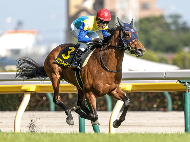 【プリンシパルSレース後コメント】パクスオトマニカ田辺裕信騎手ら