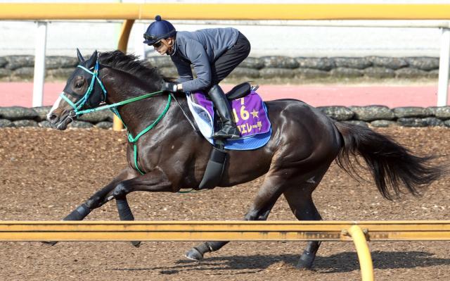 【日本ダービー】g1馬ドゥラエレーデと坂井瑠星騎手が初コンタクト 池添調教師「折り合いをつけて乗ってくれた」 競馬ニュース