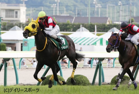 競馬JRA 2016ラジオNIKKEI賞優勝馬　ゼーヴィント記念キャップ非売品 競馬JRA 2016ラジオNIKKEI賞優勝馬 ゼーヴィント記念キャップ