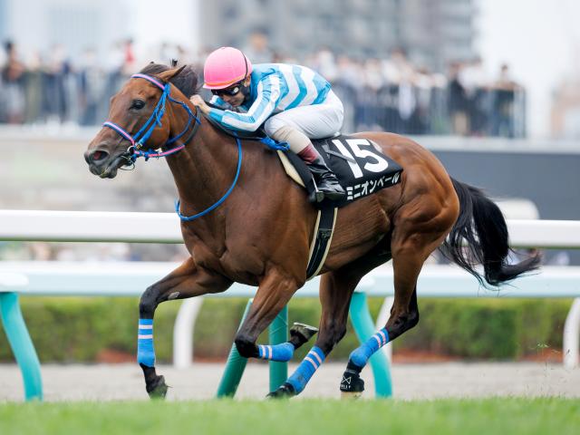 【有力馬動向】京王杯SC除外のミニオンペール 韋駄天Sへ向けて再発進/馬三郎のつぶやき