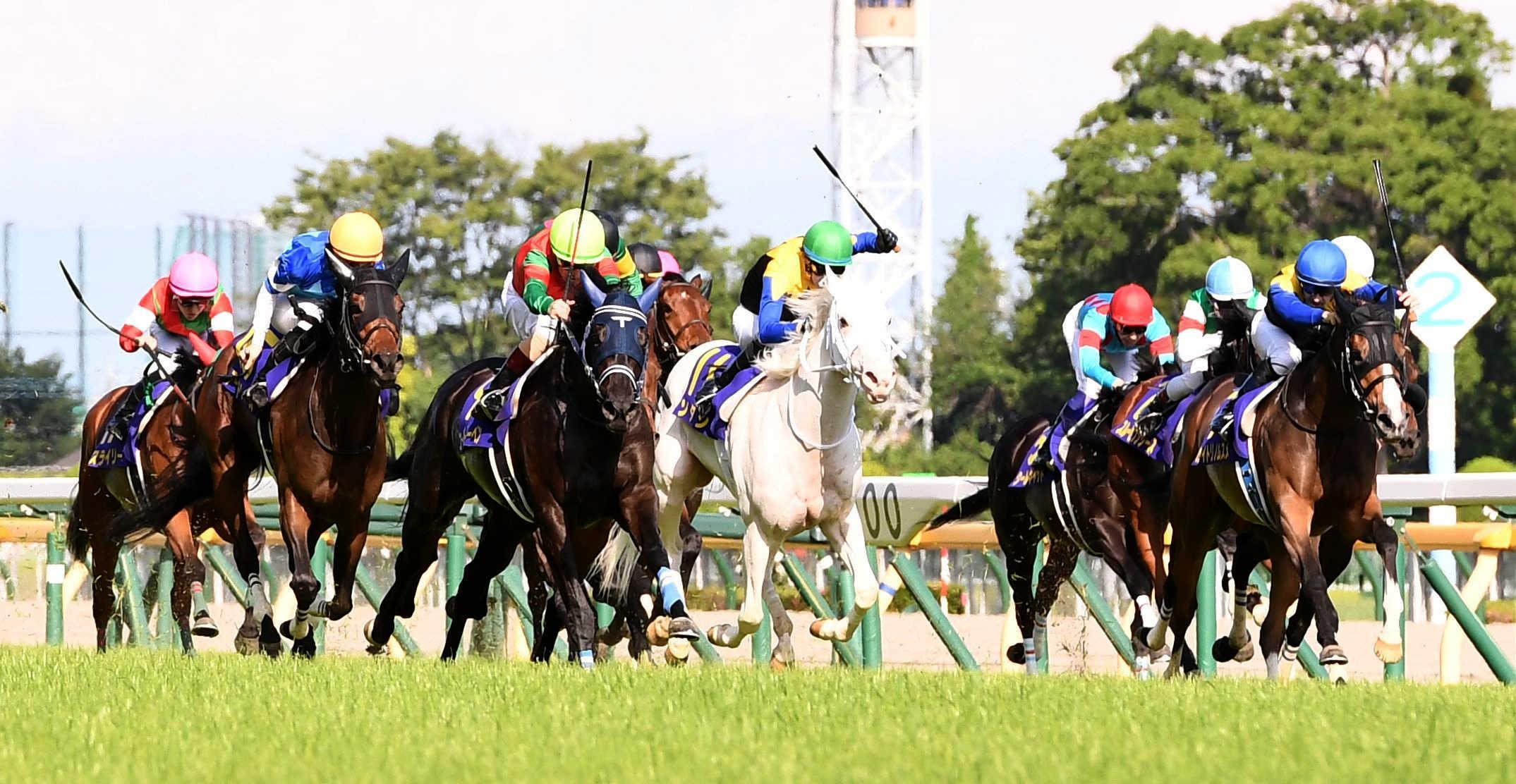 【オークス】21年ユーバーレーベン “総帥”岡田繁幸氏にささげたv 競馬ニュース