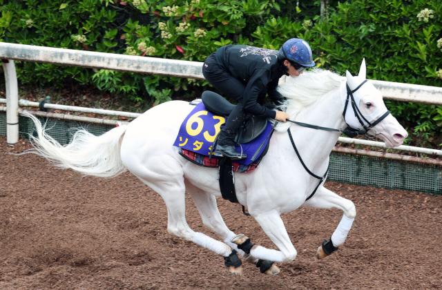 川田を背に坂路を駆け上がるソダシ