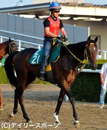 3週連続の新馬戦vを狙う松田博厩舎のワールドリースターが16日札幌芝1800mへスタンバイ 競馬ニュース Netkeiba Com