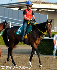 父 父の母も手掛けた松田博厩舎の良血ワールドリースターは高性能 競馬ニュース Netkeiba Com