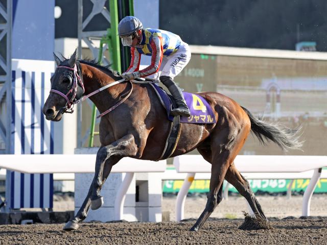 ץSͽΥޥ(c)netkeiba.comơշ