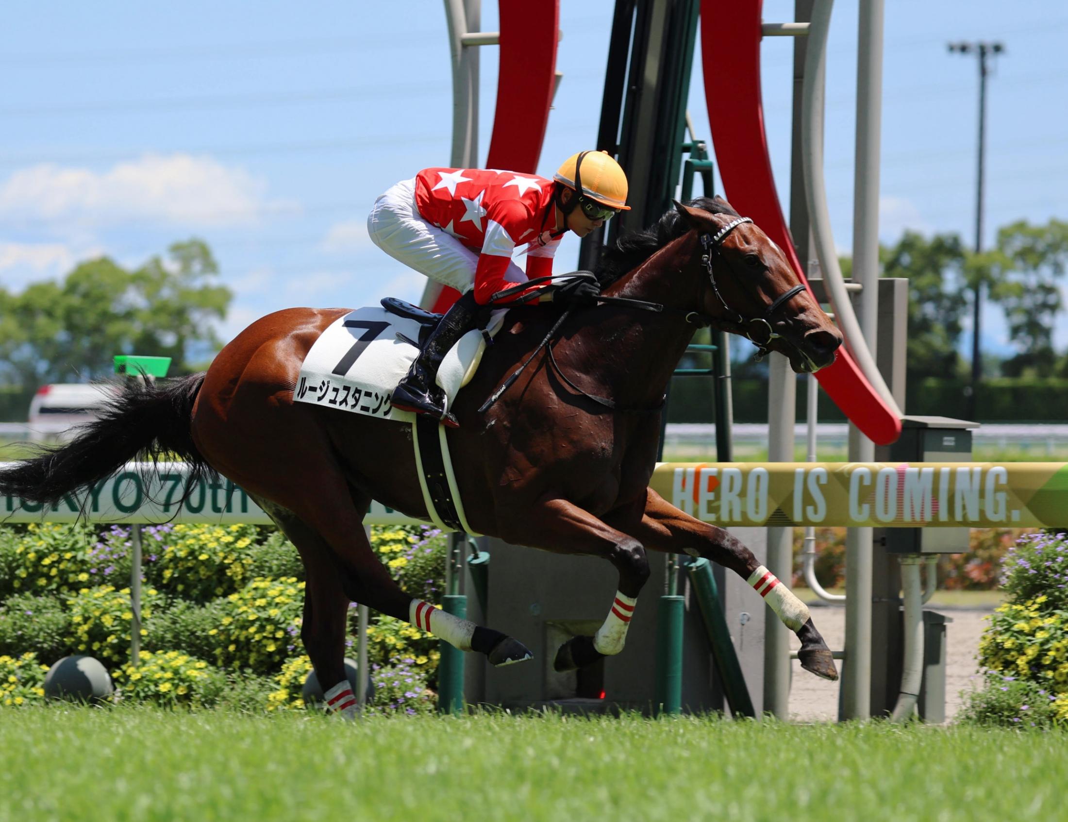 【新馬戦】ルージュスタニング　文句なしの勝利　坂井「言うことない内容」
