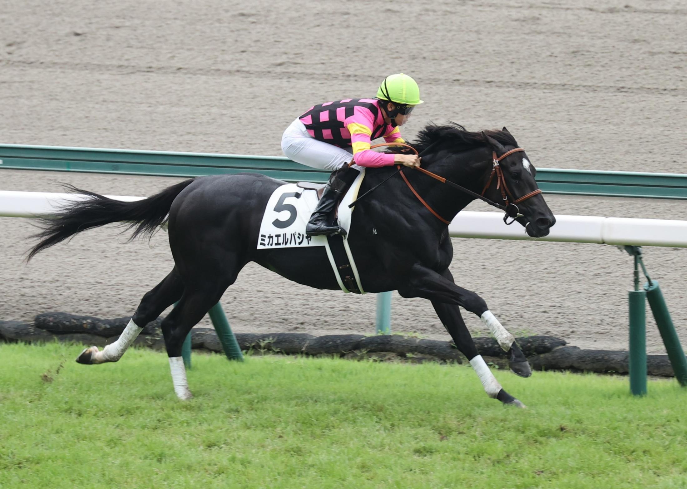 【新馬戦】ミカエルパシャ　２億円超の良血馬２騎撃破　松山「しっかり伸びてくれた」