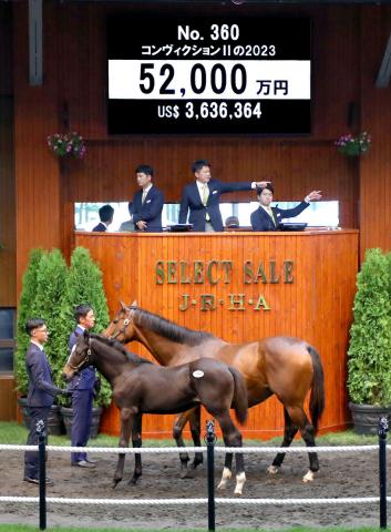 ֥󣲤ΣסʼˡCJapan Racing Horse Association