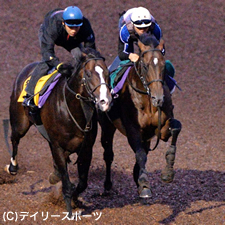 新潟2歳S・追い切り情報(1)アヴニールマルシェ
