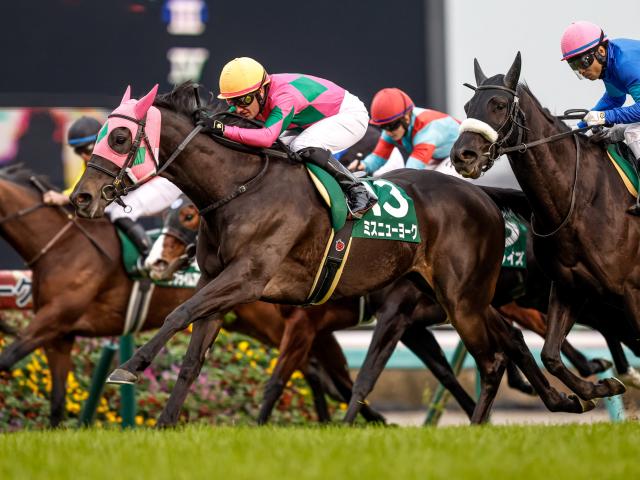 【有力馬動向】ミスニューヨークに良化の兆し CWコースでラスト11秒0！/馬三郎のつぶやき