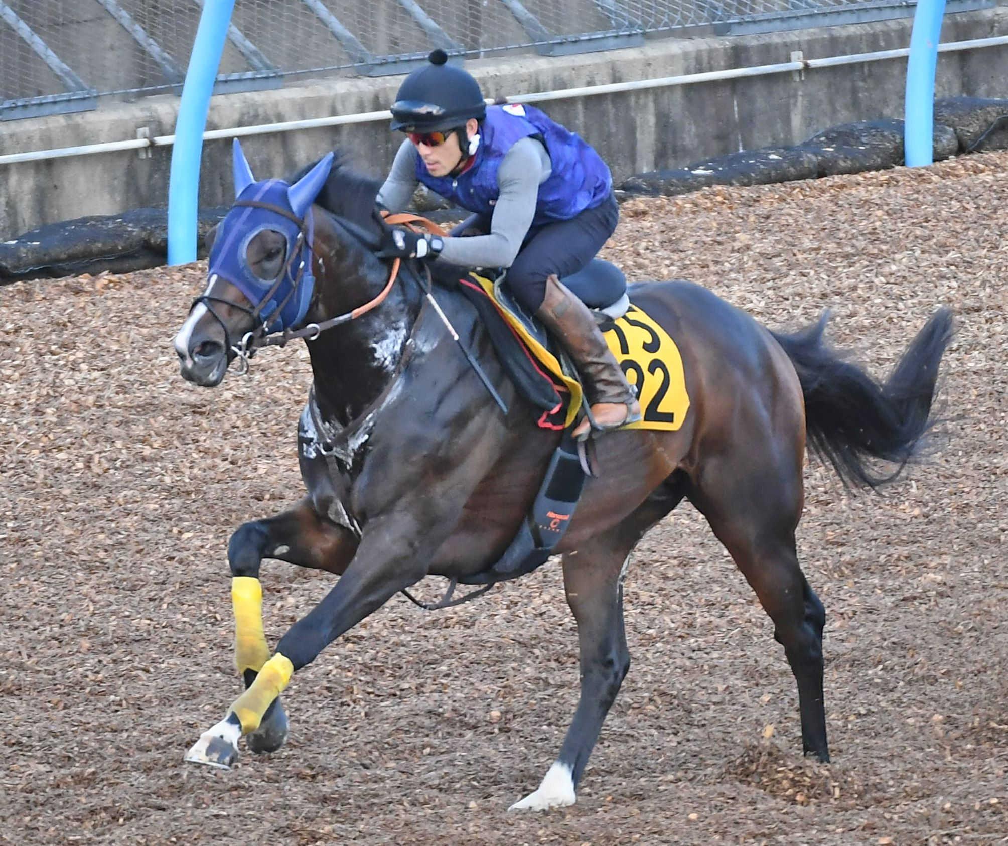 【中京記念】ベジャール　まるで重戦車　５００キロ超の馬体弾ませ美浦Ｗをパワフル走