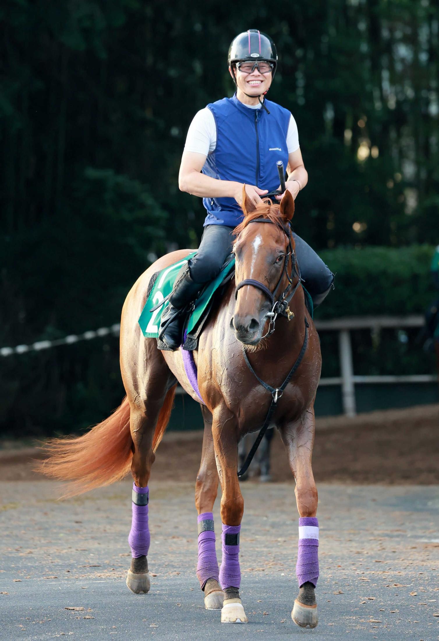 POG,新馬戦,2歳,２歳 競馬記事一覧 | 競馬まとめ - netkeiba.com