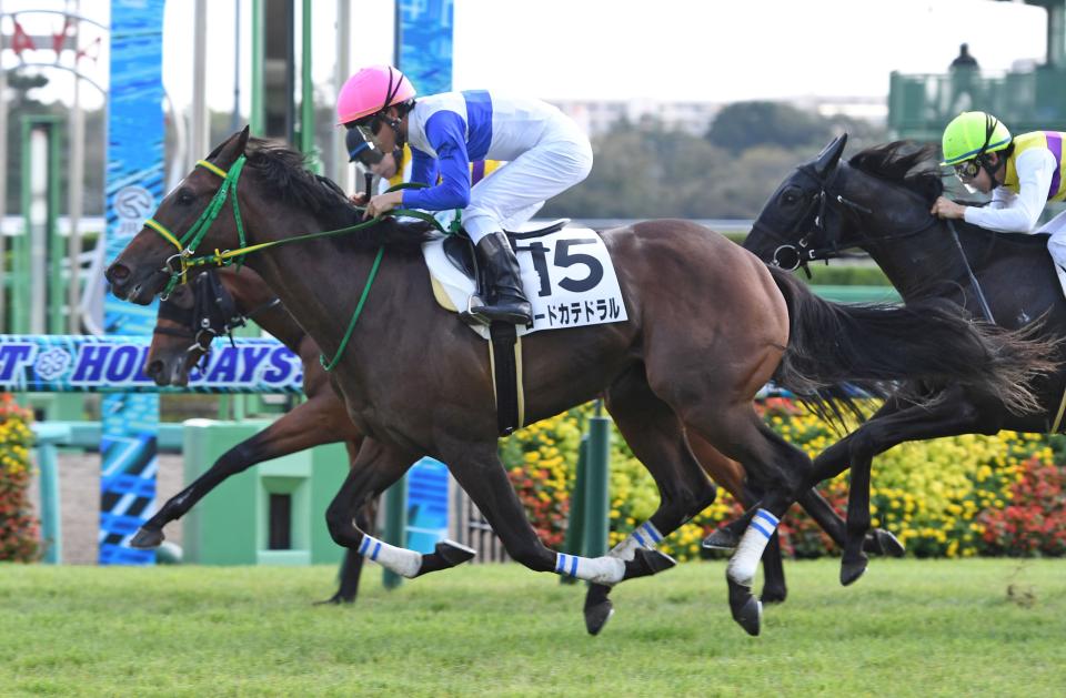 競馬 ブリーダーカップ優勝 ラヴズオンリーユー マルシュロレーヌ 矢作