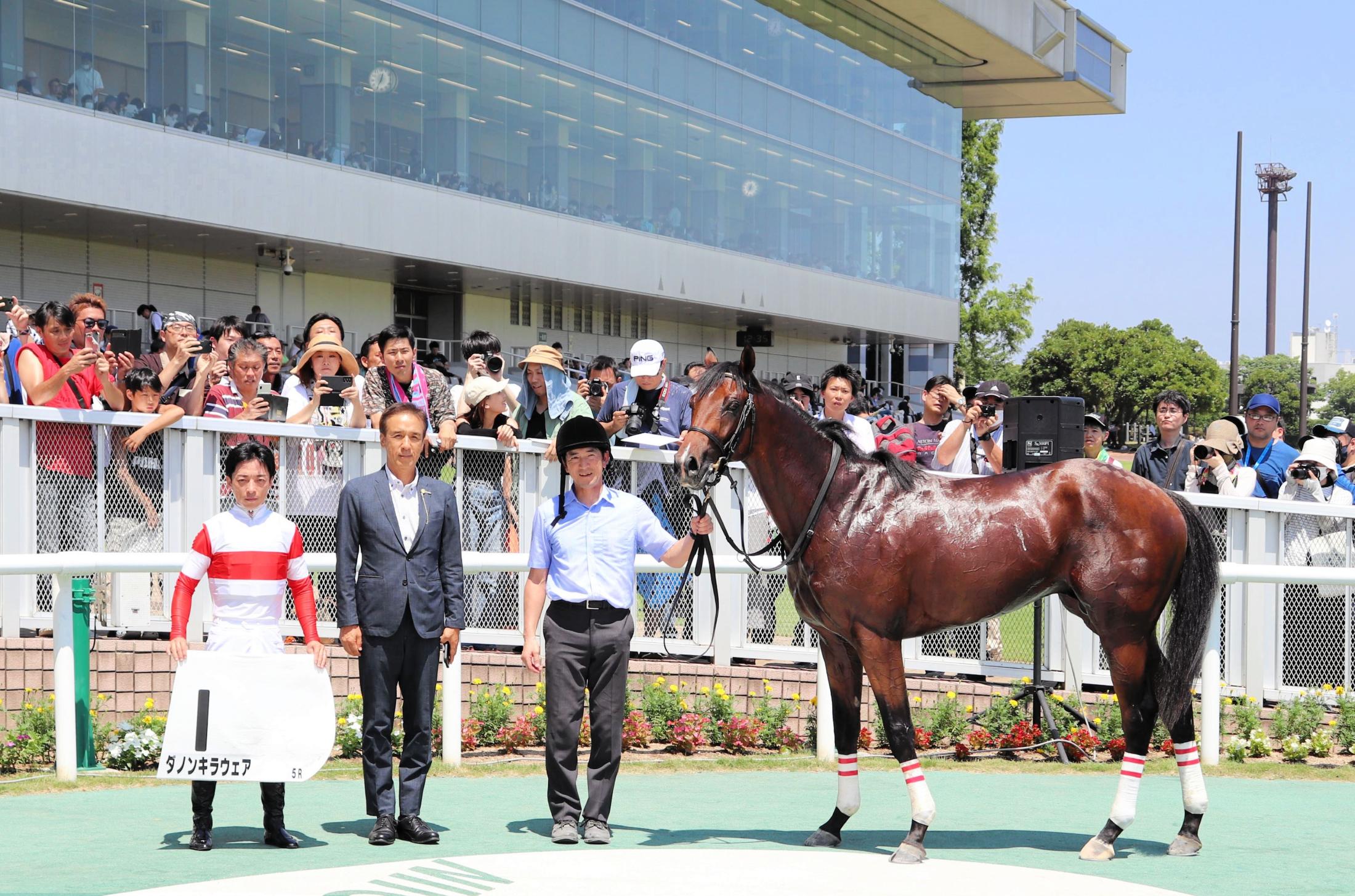 【新馬戦】ダノンキラウェア　圧倒的支持に応えた　川田「ポテンシャルが高い馬」