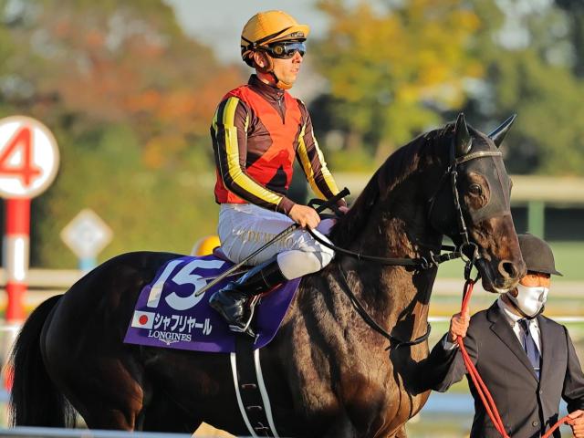 札幌記念見どころ】ダービー馬シャフリヤールが北の地で復活を期す | 競馬ニュース - netkeiba