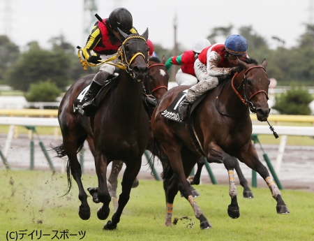 良血レーヴデトワールが制す、川田「いい脚を使ってくれました」/紫苑S