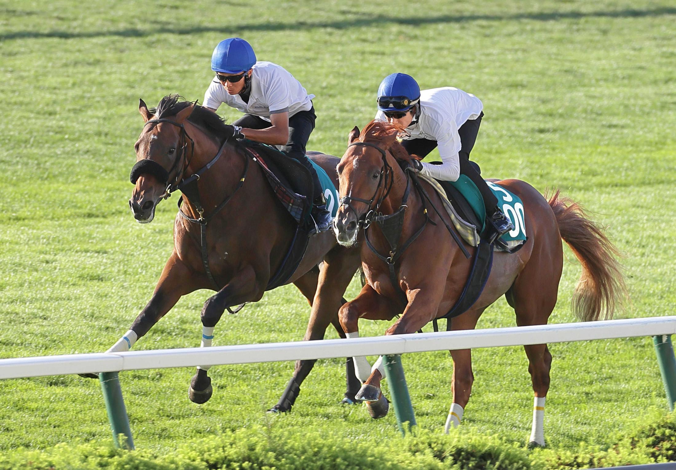 【当選品】札幌競馬場　札幌2歳ステークス　レプリカゼッケン　ガイアメンテ　武豊