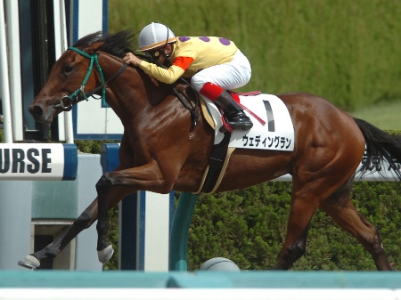 5番人気ウェディングランが逃げ切り勝ち/阪神新馬