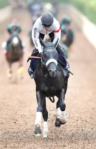 スプリンターズステークス　本命　ナムラクレア スプリンターズS】重賞4勝のナムラクレア “6度目の正直”でGI初