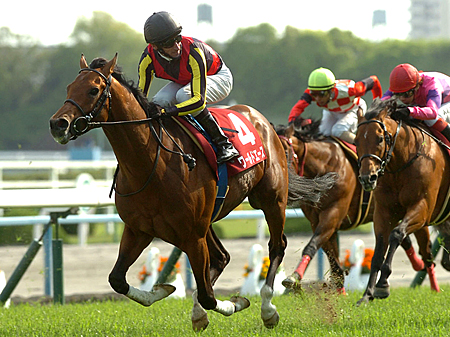 開幕馬場でワールドエースが巻き返すか/毎日王冠の見どころ