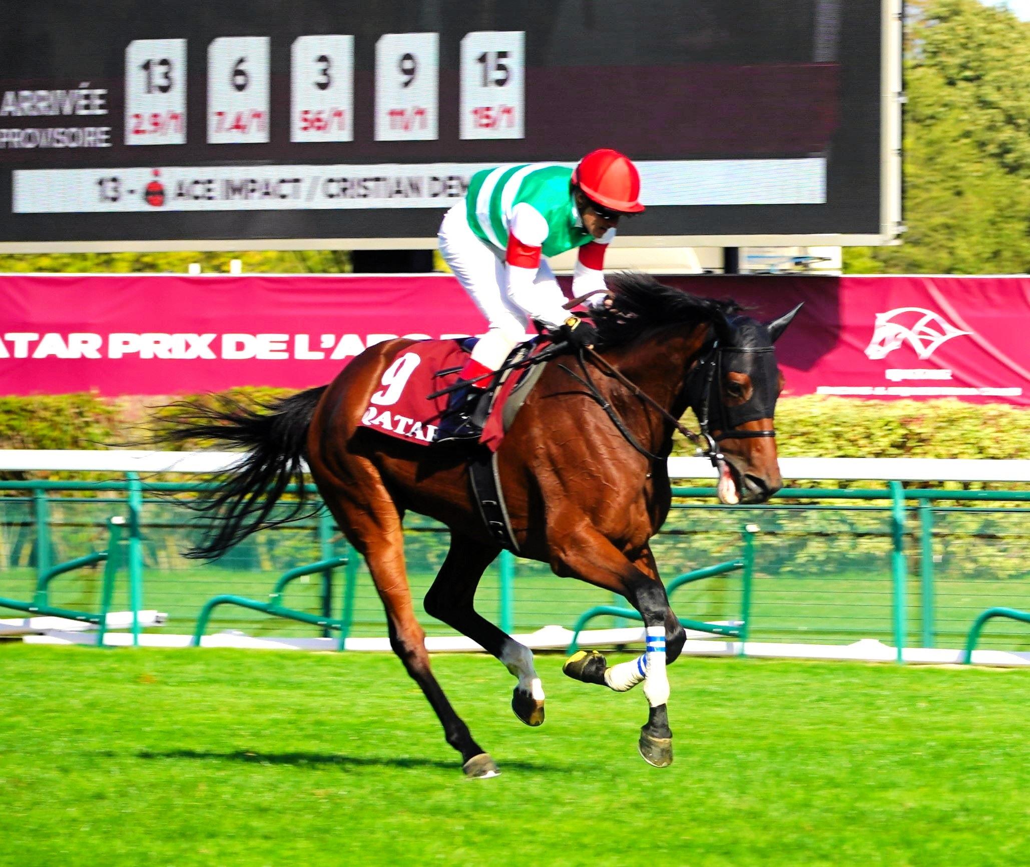 凱旋門賞】欧州最高峰のタイトル獲得へ方向性が見えた | 競馬ニュース