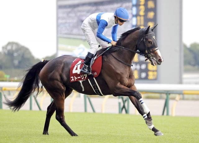 【府中牝馬S】関越S覇者のストーリアは競走中止