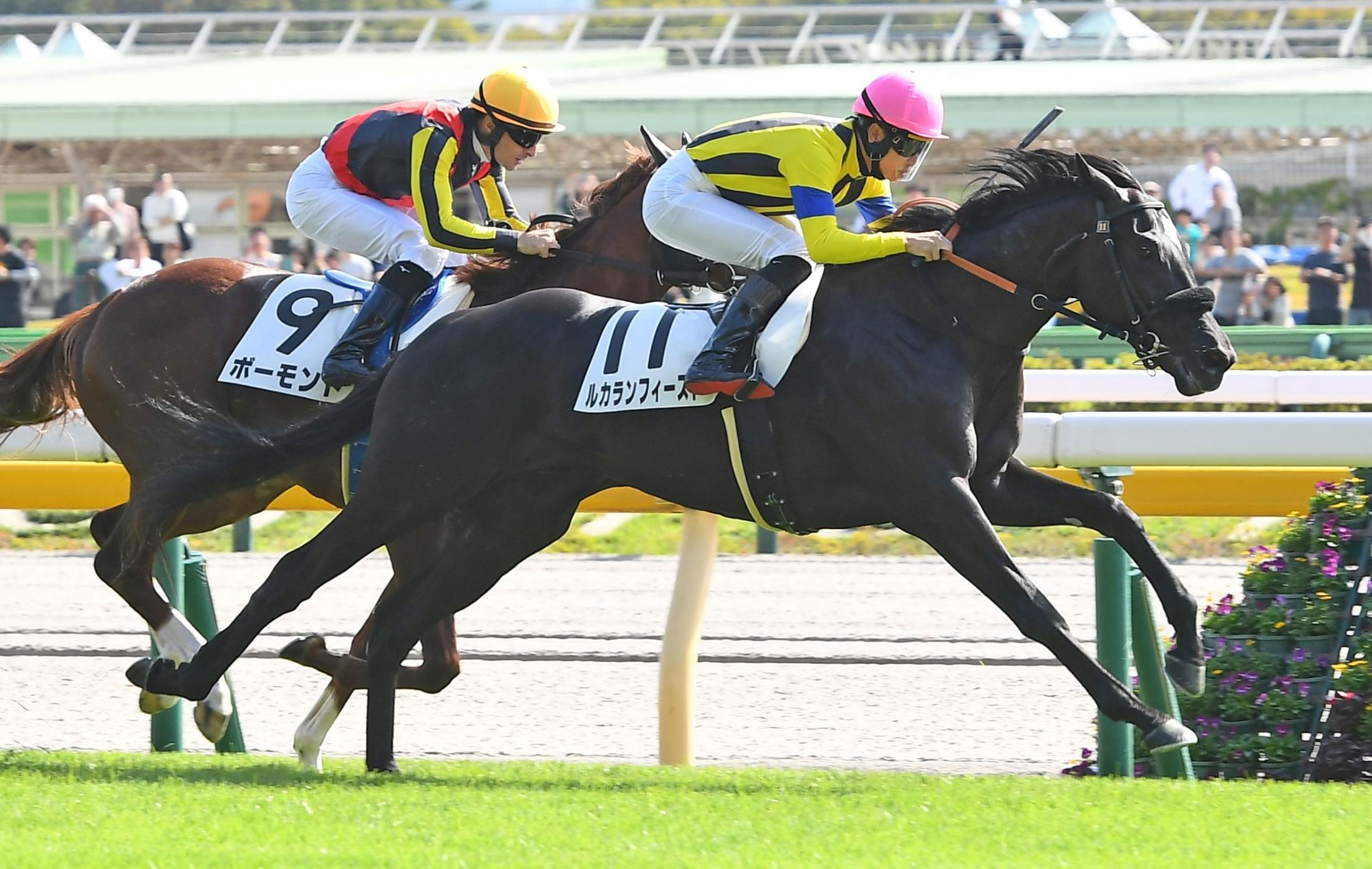 【新馬戦】ルカランフィースト　外からねじ伏せた　松山「ためた分だけしっかり脚を使えそう」