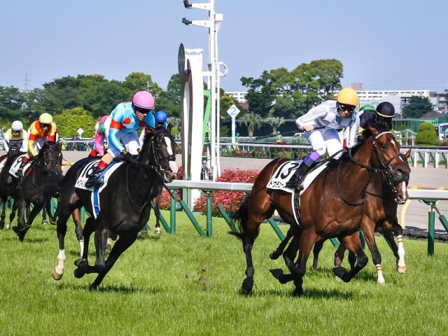 国内外の人気集結！ ☆JRA 競馬 天皇賞・秋バナー イクイノックス