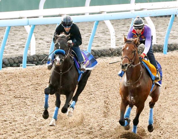 菊花賞】4連勝中の上がり馬ドゥレッツァがラスト11秒4の好時計を