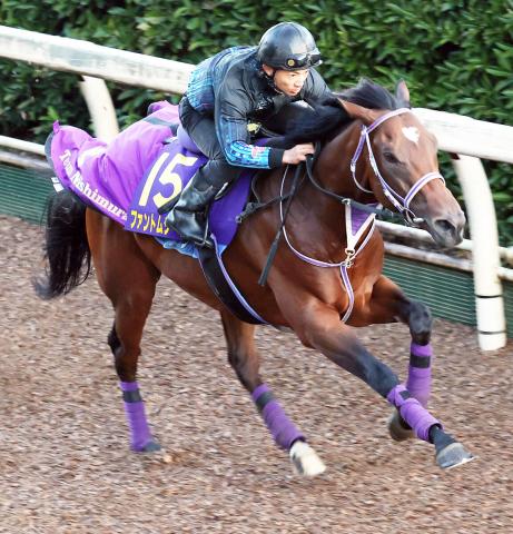 京都競馬場 第７回 秋華賞 ファインモーション優勝 武豊 直筆サイン